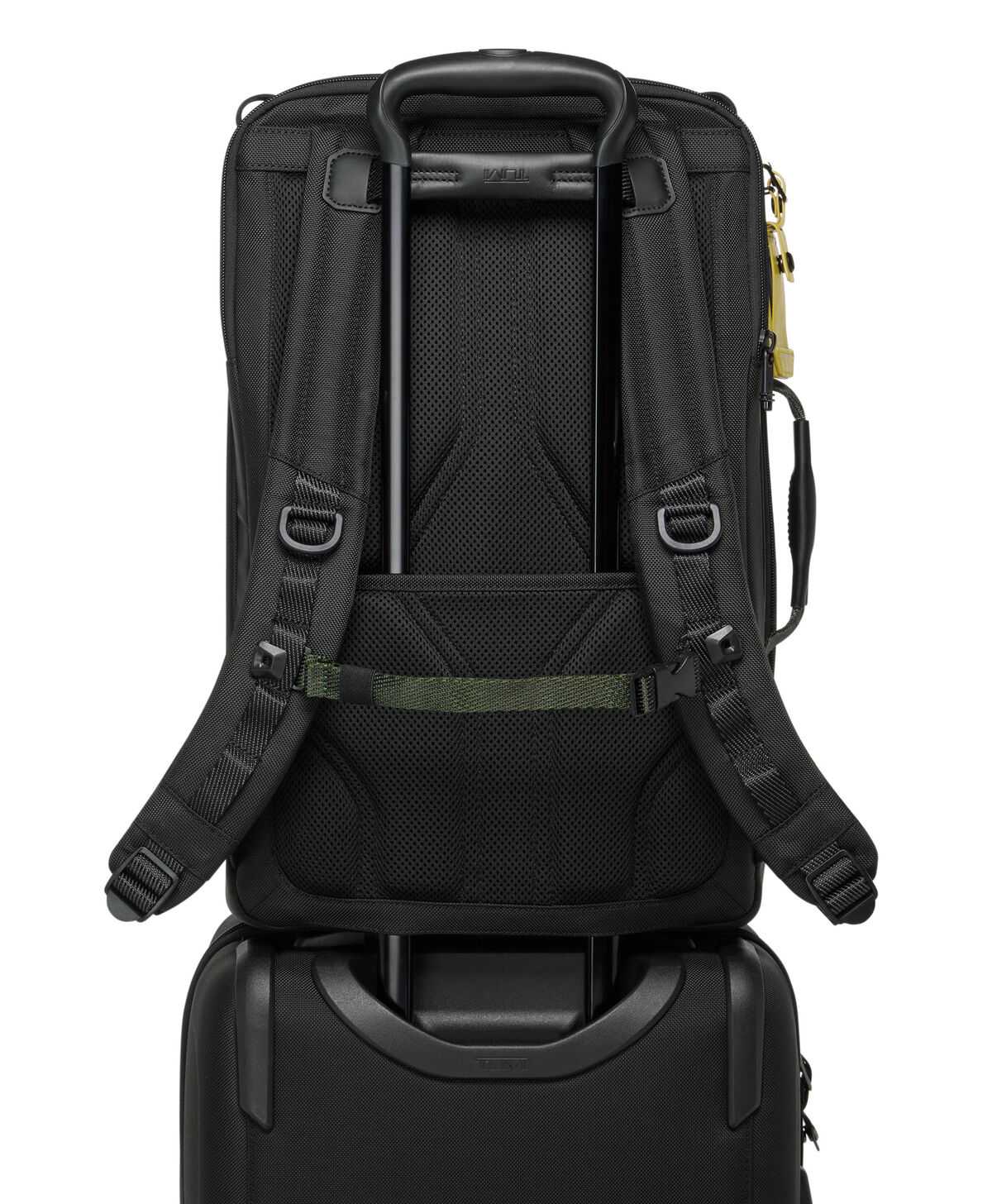 ALPHA BRAVO Detrick Plecak